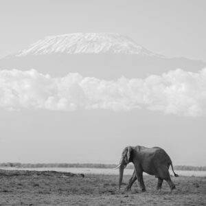 Mount Kilimanjaro