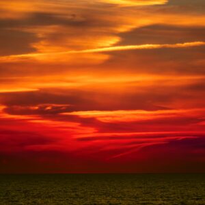 Saliors Delight